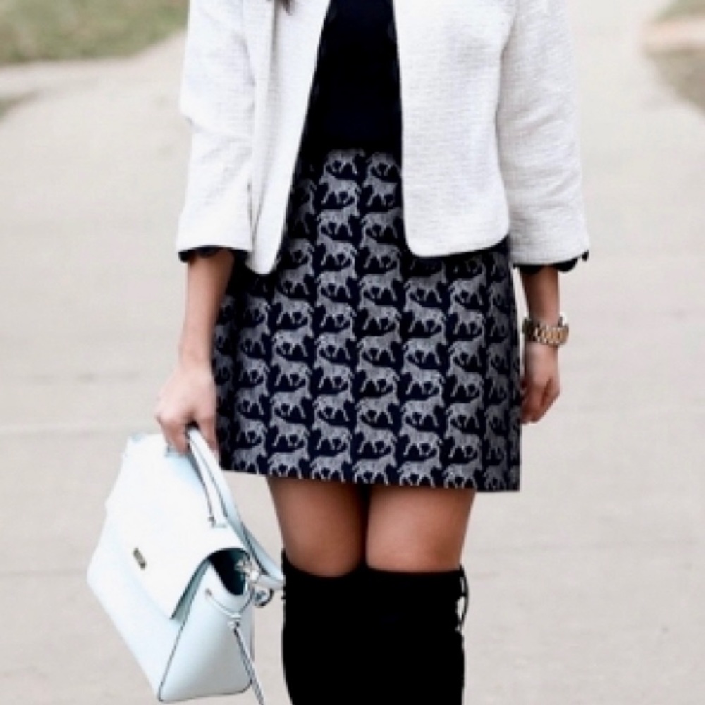 JCrew zebra 🦓 skirt